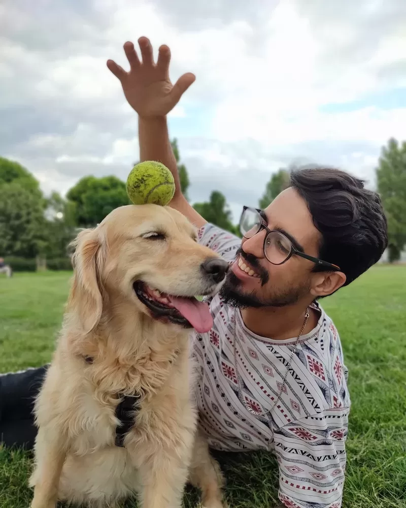 One to One Dog Training