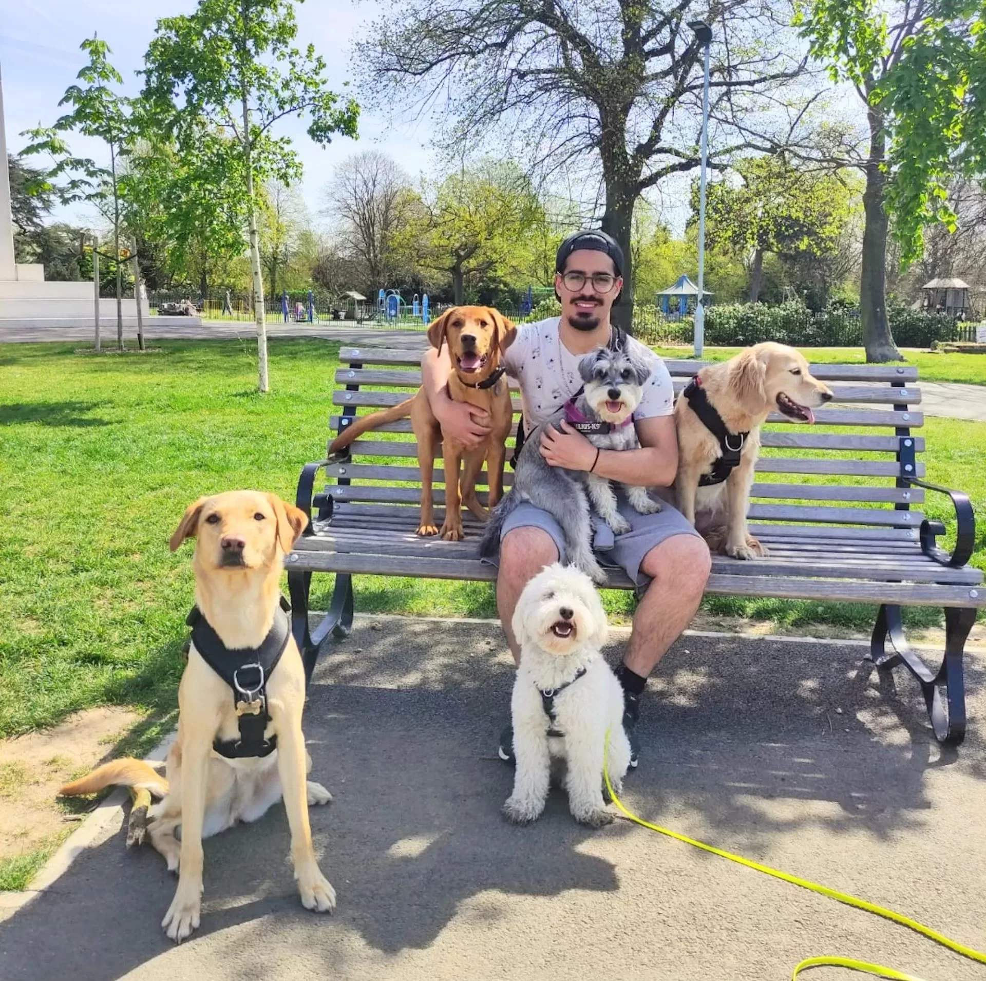 Pawsitive Tribe Mission